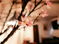 IMG_20160321_214618_resize_20160330_164630